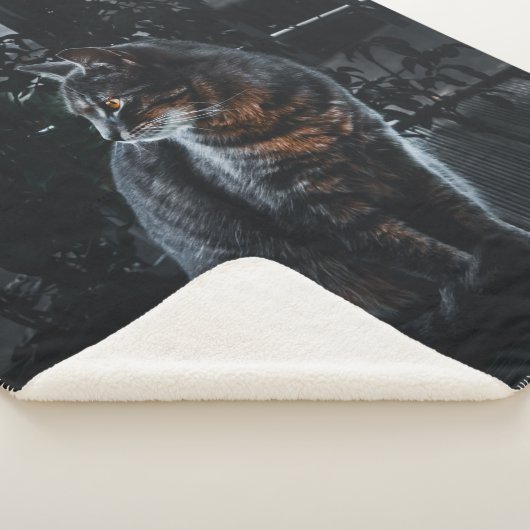 SELECTIEVE FOCUS VAN SILVER TABBY CAT SHERPA DEKEN (3/4)