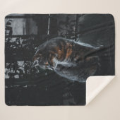 SELECTIEVE FOCUS VAN SILVER TABBY CAT SHERPA DEKEN (Voorkant (horizontaal))