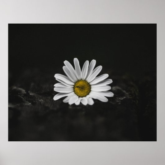 SELECTIEVE KLEURFOTO VAN WITTE DAG POSTER (Voorkant)