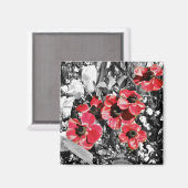 Selectieve schoonheid - Anemone bloesems magneet (Voorkant / Achterkant)