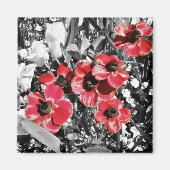 Selectieve schoonheid - Anemone bloesems magneet (Voorkant)