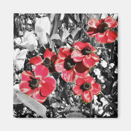 Selectieve schoonheid - Anemone bloesems magneet