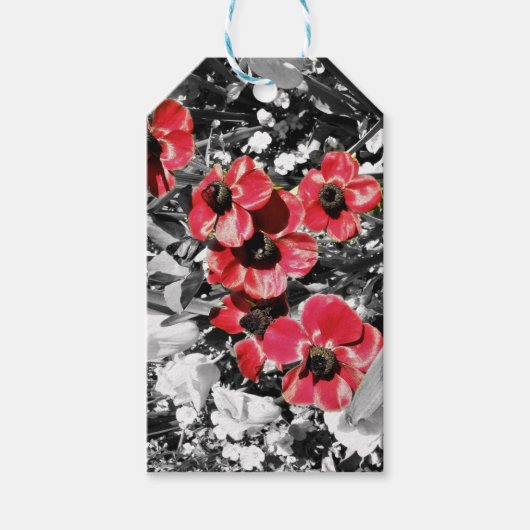 Selectieve schoonheid - Anemone Blossoms Cadeaulabel (Voorkant)