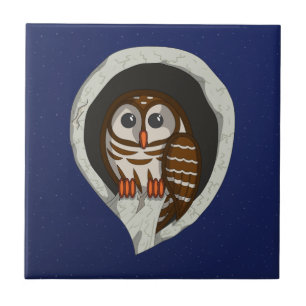 Selene de Uil Tegel Tegeltje