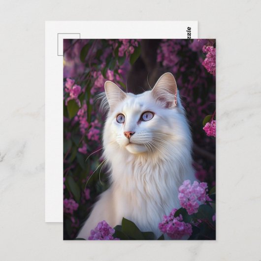 Selene het Turkse Briefkaart van de Angora Cat (Voorkant / Achterkant)