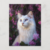 Selene het Turkse Briefkaart van de Angora Cat (Voorkant)