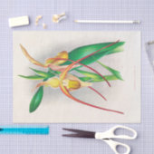 Selenipedium Grande (Orchid) door Jean Jules Linde Tissuepapier (Craft)