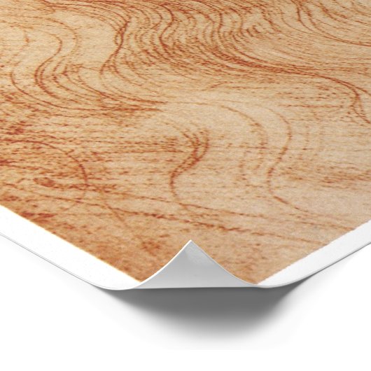 Self-Portrait, Red Chalk, Leonardo da Vinci, 1519 Poster (Hoek)