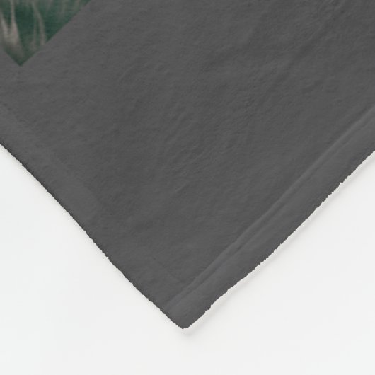 Selfie Cat Dinosaur T Alien UFO Rex Fleece Deken (Hoek)