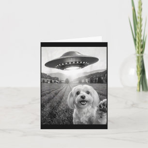 Selfie Met Alien Ufo Grappige Maltese Hond Moeder Kaart