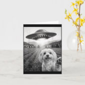 Selfie Met Alien Ufo Grappige Maltese Hond Moeder  Kaart (Gele Bloem)