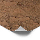 Selfie NASA Mars Curiosity Rover Red Planet Poster (Hoek)