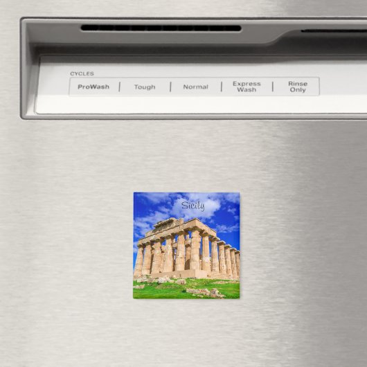 Selinunte tempel op Sicilië Magneet (Insitu (Vaatwasser))