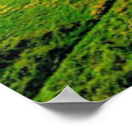 Seljalandsfoss Waterfall, IJsland Poster (Hoek)