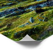 Seljalandsfoss Waterfall in IJsland Poster (Hoek)