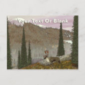 Selkirk Cariou Briefkaart (Voorkant)