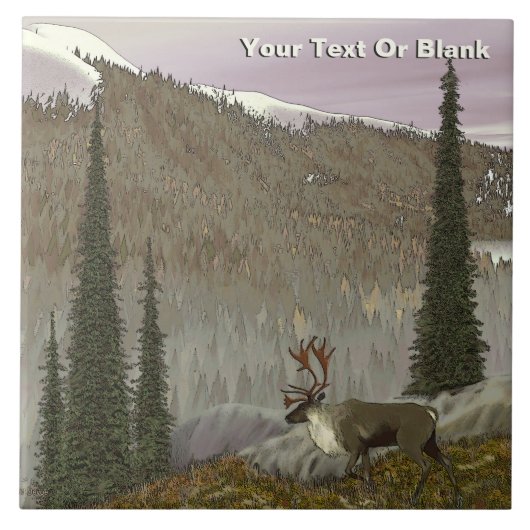 Selkirk Cariou Tegeltje (Voorkant)