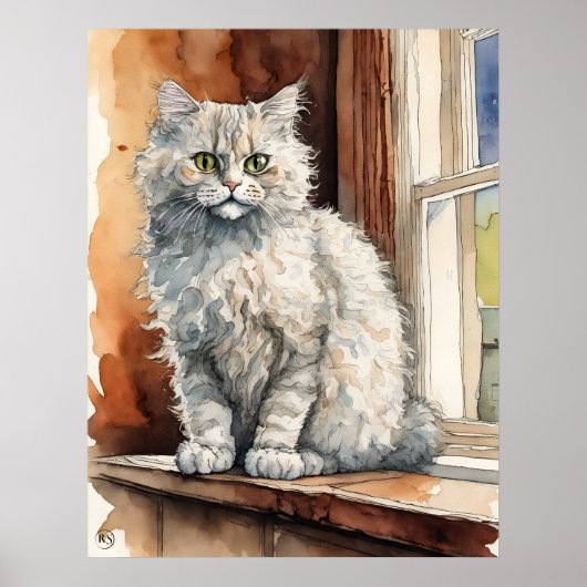 Selkirk rex Cat - Kat Kunstdruk Poster (Voorkant)