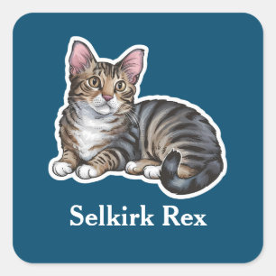 Selkirk Rex Vierkante Sticker
