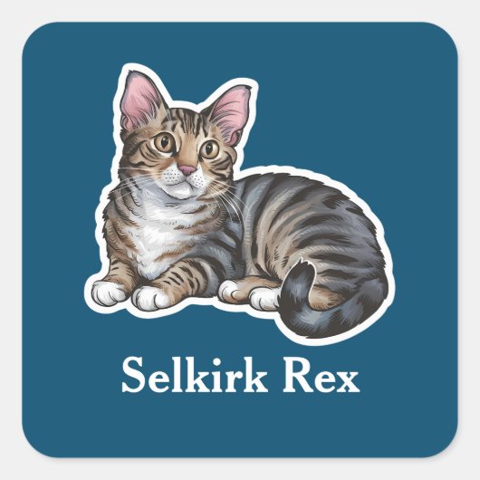 Selkirk Rex Vierkante Sticker (Voorkant)