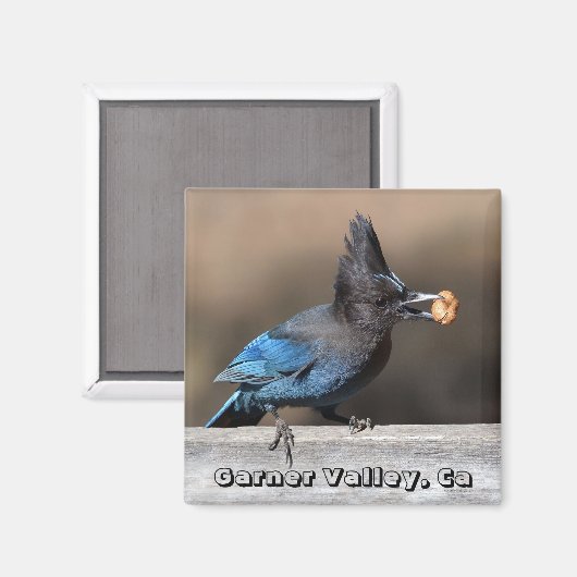 Seller's Jay met pinda Magnet Garner Valley, Ca (Voorkant / Achterkant)