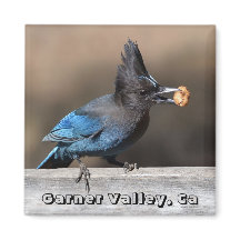 Seller's Jay met pinda Magnet Garner Valley, Ca