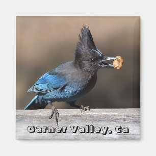 Seller's Jay met pinda Magnet Garner Valley, Ca