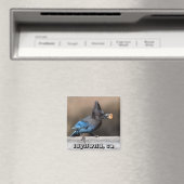 Seller's Jay met pinda Magnet Idyllwild, Ca (Insitu (Vaatwasser))