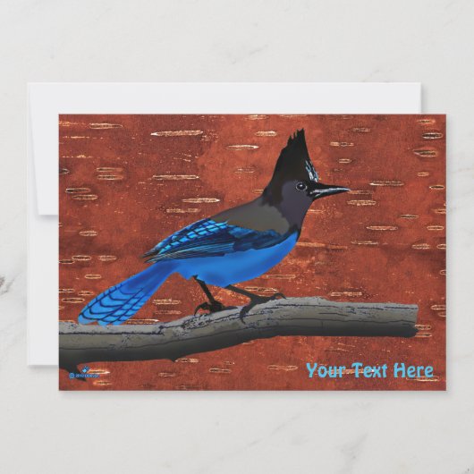 Seller's Jay op binnenste boog (Voorkant)