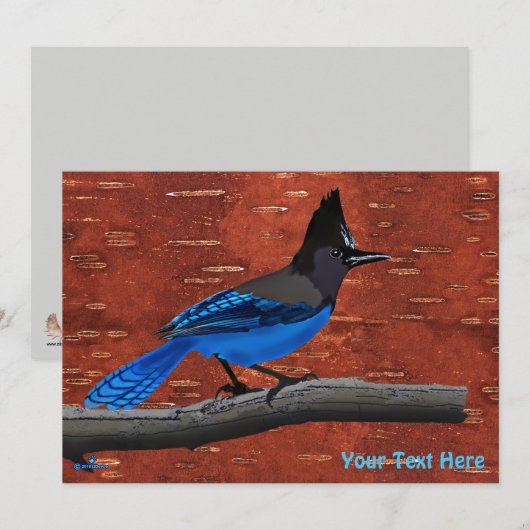 Seller's Jay op binnenste boog (Voorkant / Achterkant)