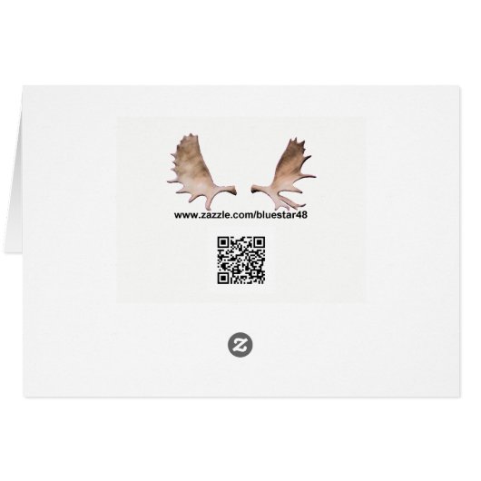 Seller's Jay op binnenste boog (Achterkant Horizontaal)