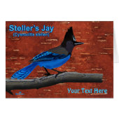 Seller's Jay op binnenste boog (Voorkant Horizontaal)