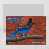 Seller's Jay op binnenste boog (Voorkant / Achterkant)