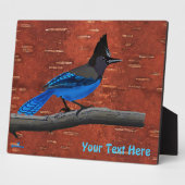 Seller's Jay op binnenste boog Fotoplaat (Zijkant)