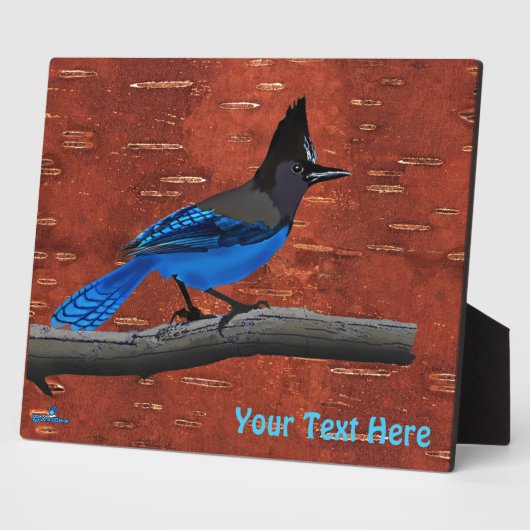 Seller's Jay op binnenste boog Fotoplaat (Zijkant)