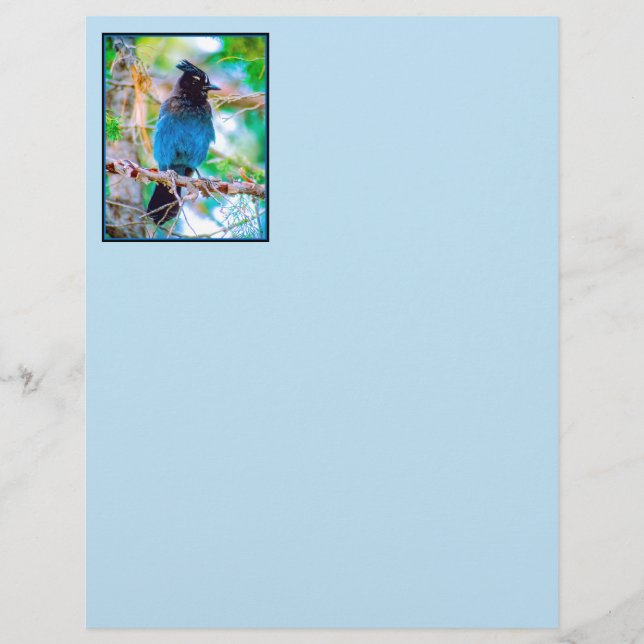 Seller's Jay - Originele Foto (Voorkant)