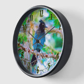 Seller's Jay - Originele Foto (Hoek)