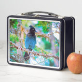 Seller's Jay - Originele Foto (In situ)
