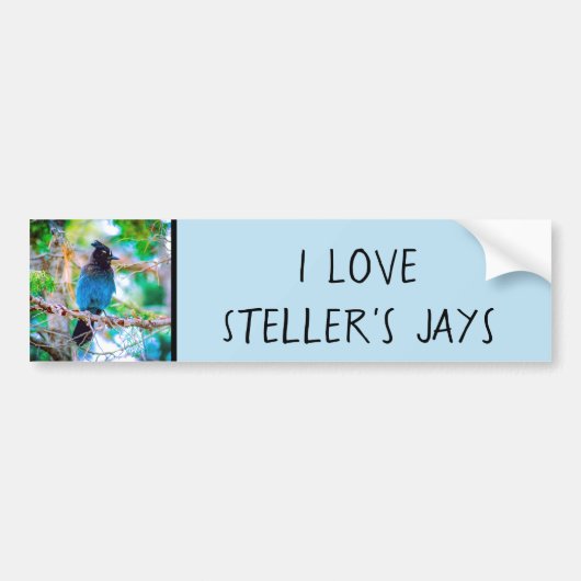 Seller's Jay - Originele Foto Bumpersticker (Voorkant)