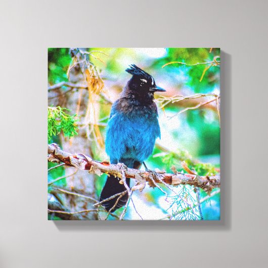 Seller's Jay - Originele Foto Canvas Afdruk (Voorkant)