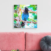 Seller's Jay - Originele Foto Canvas Afdruk (Insitu (Woonkamer))