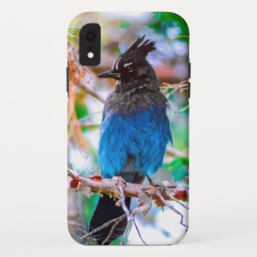 Seller's Jay - Originele Foto Case-Mate iPhone Case (Achterkant)