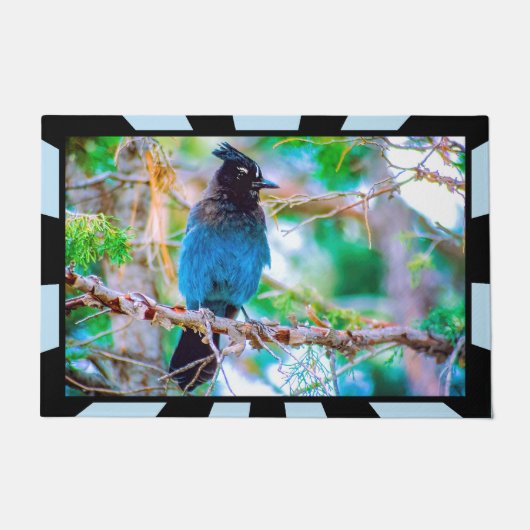 Seller's Jay - Originele Foto Deurmat (Voorkant)