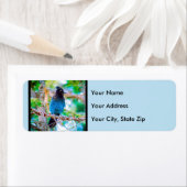 Seller's Jay - Originele Foto Etiket (Insitu)