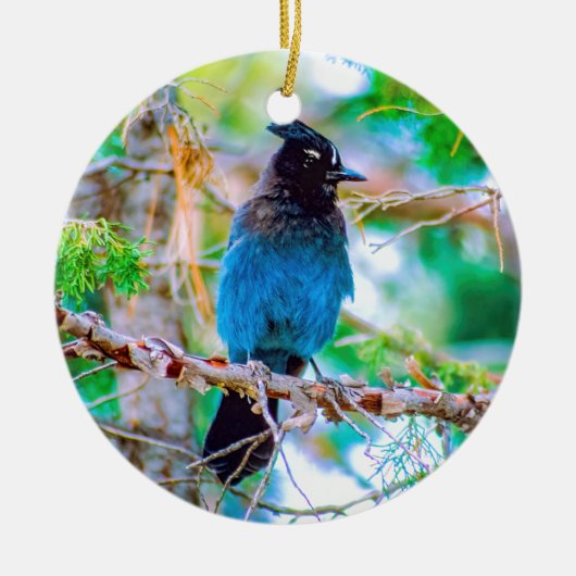 Seller's Jay - Originele Foto Keramisch Ornament (Voorkant)