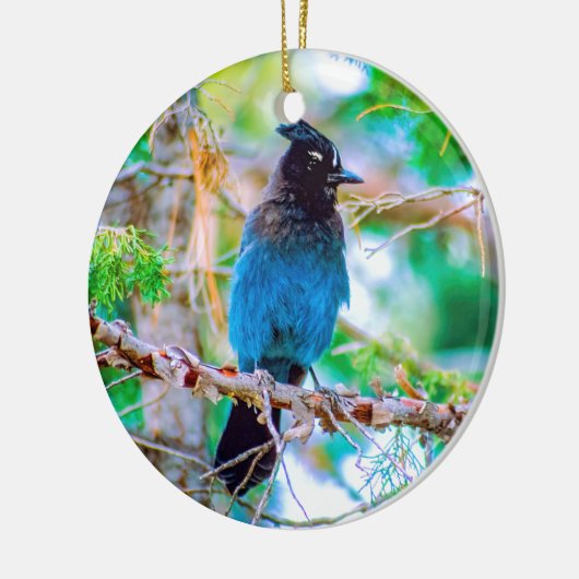 Seller's Jay - Originele Foto Keramisch Ornament (Links)
