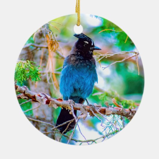 Seller's Jay - Originele Foto Keramisch Ornament (Achterkant)