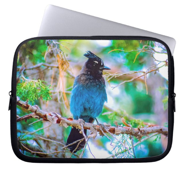 Seller's Jay - Originele Foto Laptop Sleeve (Voorkant)