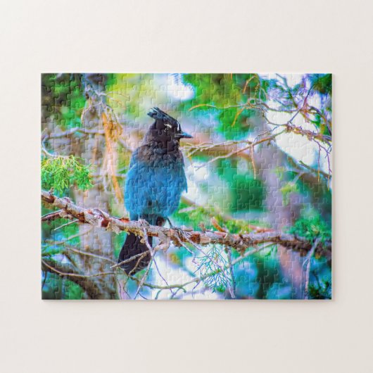 Seller's Jay - Originele Foto Legpuzzel (Horizontaal)