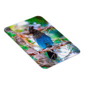 Seller's Jay - Originele Foto Magneet (Rechterzijde)